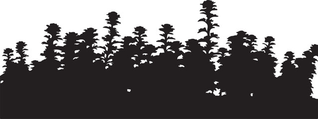  Mini plants in silhouette white background.