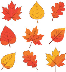 Colorful autumn leaves falling gently from trees in forest during beautiful fall season, creating vibrant and peaceful atmosphere.