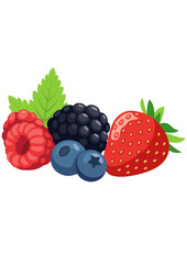 Illustration of Mixed Berries Strawberry, Blueberry, Blackberry, Raspberry with Green Leaves
