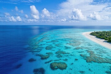 Fototapeta premium Aerial View of Tropical Island with Coral Reefs and Clear Blue Ocean