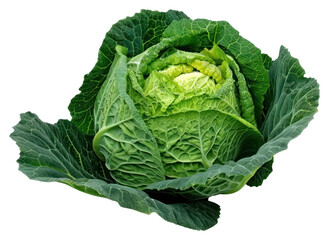 Fototapeta premium PNG Cabbages cabbage vegetable produce.