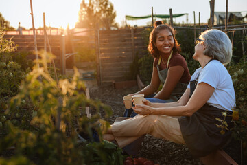 Farmers enjoying a relaxing break drinking coffee at sunset in their vegetable garden