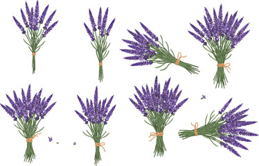 Lavender flower bundle illustration, purple floral bouquet clipart, herbal plant drawing, vintage botanical design, aromatic lavender bunch vector art © Design_Pro