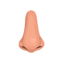 Vector illustration of human nose