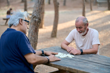Two senior men playing dominoes in park, active seniors enjoying retirement