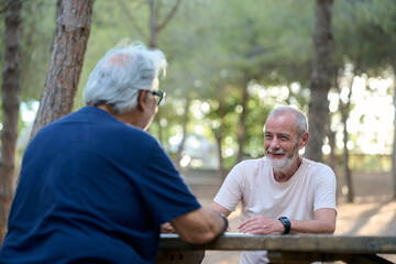 Two senior men talking and smiling at a picnic table in a park
