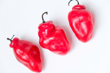 Selective focus of cabe gendot or Dieng chilli habanero, the popular chilli in Indonesia