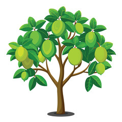 Lush guava tree with round green fruits and broad leaves, a healthy and detailed illustration on a clean white background, symbolizing a natural garden.