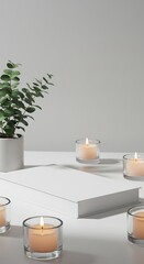 静寂の光と緑 白い空間のやすらぎ