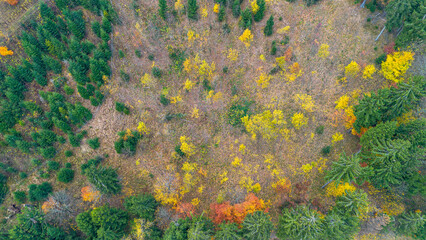 Walbrzych Mountains and Sowie Mountains, autumn in the mountains, drone view, Poland
