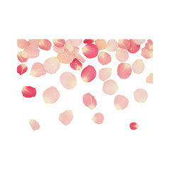 Rose petals and golden glitter scatter overlay with romantic decorative style, transparent PNG