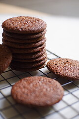 chocolate chip cookies