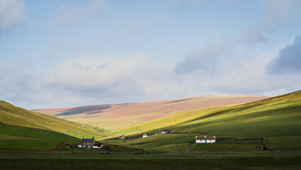 Rolling green hills with scattered houses and a cloudy sky in a rural landscape rolling hills grass