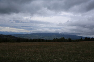 storm clouds over the forest