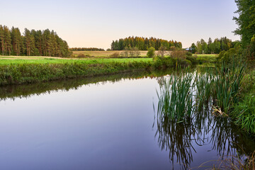 reflection of trees in the water