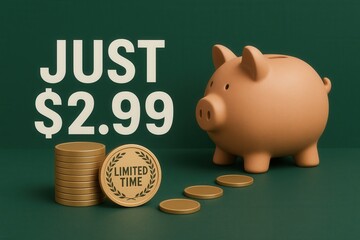 Promotion with JUST $2.99 and LIMITED TIME offer, clean modern style, attractive retail discount opportunity.