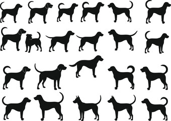 A diverse collection of dog breed silhouettes, from small to large, ideal for pet-related designs, logos, and veterinary content.