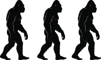 A mysterious black and white illustration of bigfoot, sasquatch, or an ape-like creature walking, for adventure and cryptid content.
