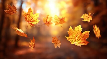 Autumn Leaves Falling In Forest Sunlight