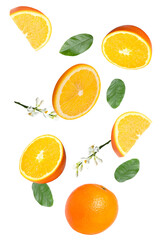 fresh oranges with blossoms and leaves falling