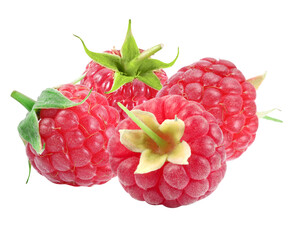 fresh raspberries with green stems, perfect for healthy eating