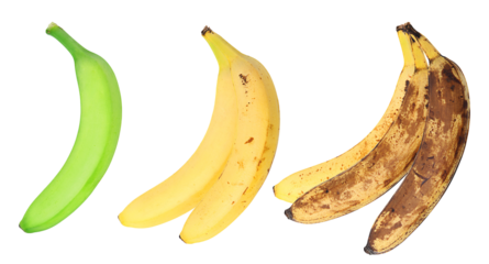 banana ripening stages from green to brown against black