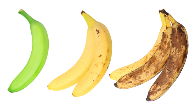 banana ripening stages from green to brown against black