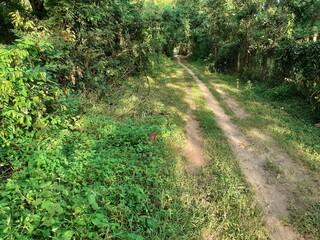 A small dirt road in rural Asia