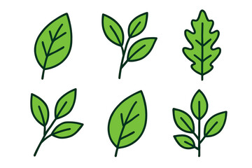 Various green leaves set against white background