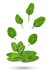 close up of stacked and scattered fresh spinach leaves