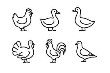Simple black outline drawings of farm birds: chicken, duck, goose, turkey, rooster, dove