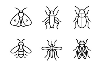 Minimalist insect line art collection: moth, beetle, bee, mosquito, cicada