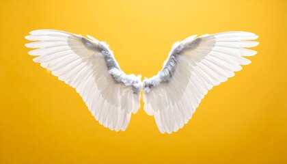 White angel wings spread open against bright yellow background with detailed feathers symbolizing purity protection and spiritual uplift for inspirational and fantasy visuals