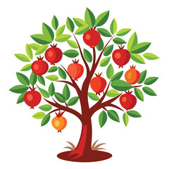 A vibrant pomegranate tree with red fruits and glossy leaves, a beautiful and detailed illustration on a clean white background, for nature or food.
