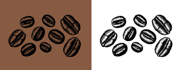 Coffee beans vector. Black coffee beans on white and brown background