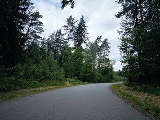 Fototapeta premium an empty winding road in the forest in summer, an asphalt road in the middle of the forest, a winding road, traffic in a rural area with a forest