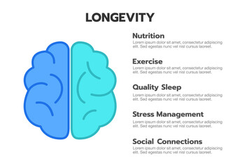 Longevity and healthy living infographic template featuring five essential lifestyle factors: nutrition, exercise, quality sleep, stress management, and social connections. Ideal for presentations.