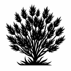 Sagebrush vector clean black silhouette design white background
