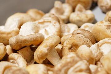 champignons