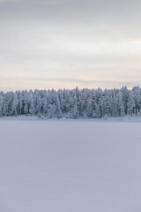 Stunning landscapes of Swedish Lapland, where snowy mountains, frozen lakes and endless forests create a magical Arctic wilderness.