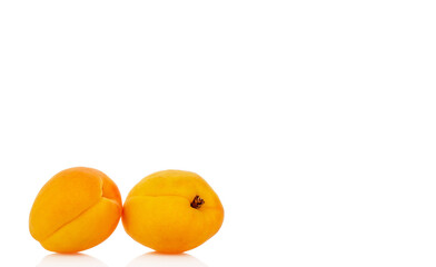 Ripe organic apricots isolated on white background, macro.
