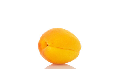 Ripe organic apricots isolated on white background, macro.