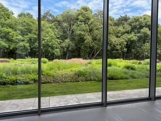 Beautiful green trees and other different plants under blue sky, view through panoramic windows