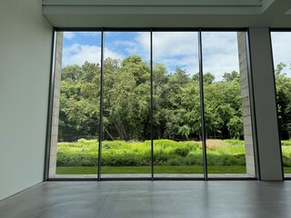 Beautiful green trees and other different plants under blue sky, view through panoramic windows