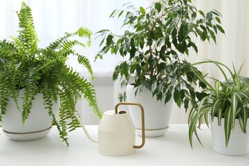 Watering can and different houseplants on white table indoors