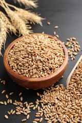 Wheat grains in bowl, scoop and spikelets on black wooden table, closeup
