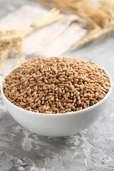 Wheat grains in bowl and spikes on grey table, closeup