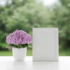 紫陽花と白い額縁、初夏の穏やかな風景