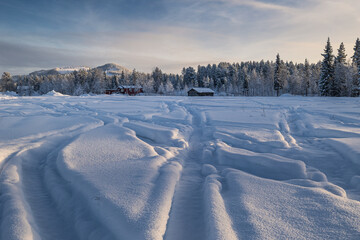 Fototapety na wymiar - Fototapeta24.pl