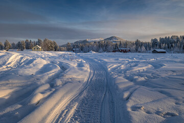 Fototapety na wymiar - Fototapeta24.pl